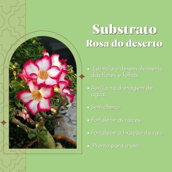 Substrato para rosa do deserto 20kg - Mogifertil Imagem de Substrato para rosa do deserto 20kg