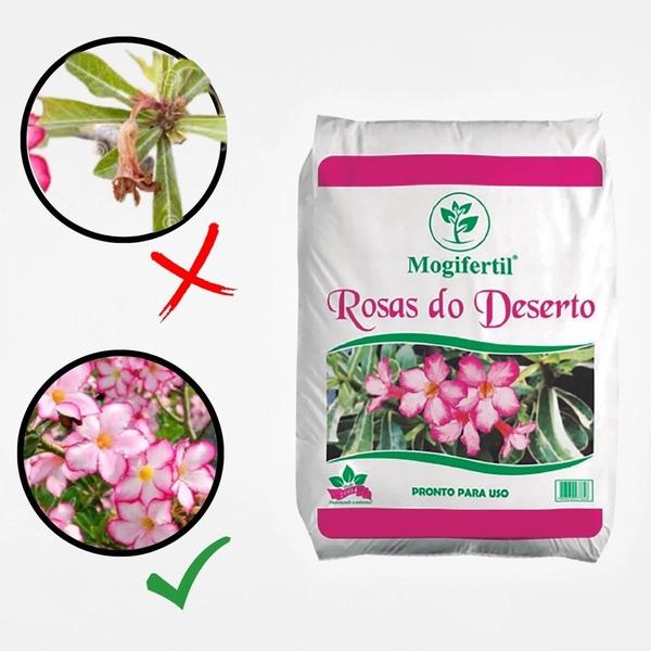 Substrato para rosa do deserto 20kg - Mogifertil Imagem de Substrato para rosa do deserto 20kg