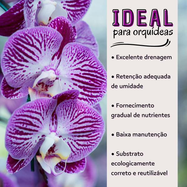 Imagem de Substrato Pronto Uso Ideal Para Orquídeas 2 Litros Pacote com 20