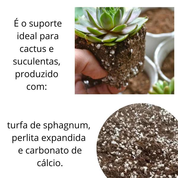 Imagem de Substrato Sphagnotec 50% Turfa + 50% Perlita Expandida 25 L Para Cactos e Suculentas