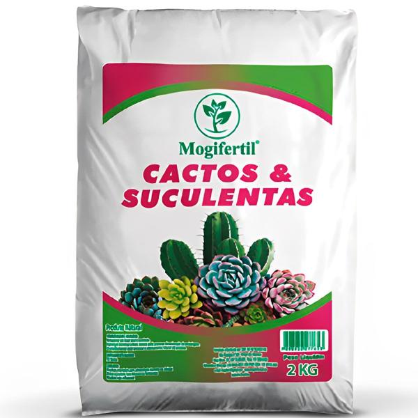 Imagem de Substrato Terra para Cacto e Suculenta Terra Vegetal 2kg