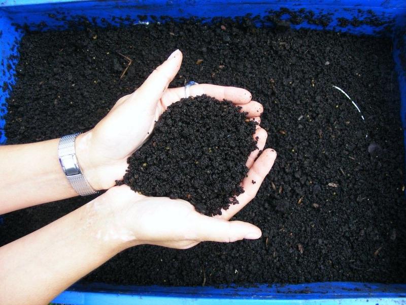 Imagem de Substrato Terra Vegetal Adubada com Humus de Minhoca 10kg