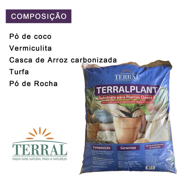 Substrato TERRALPLANT Classe A - 20 Litros Terral Plantio Imagem de Substrato TERRALPLANT Classe A - 20 Litros Terral Plantio