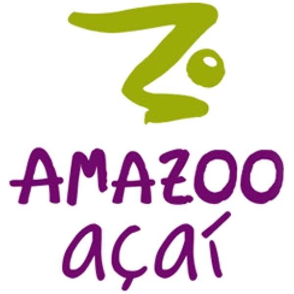 Imagem de Suco AMAZOO Smoothie Açai Banana 250ml (6 unidades)