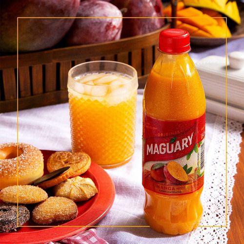 Suco Concentrado De Manga Maguary 500ml Imagem de Suco Concentrado De Manga Maguary 500ml