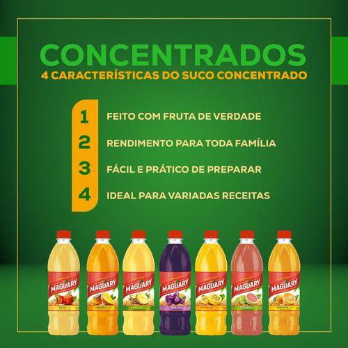 Suco Concentrado De Manga Maguary 500ml Imagem de Suco Concentrado De Manga Maguary 500ml