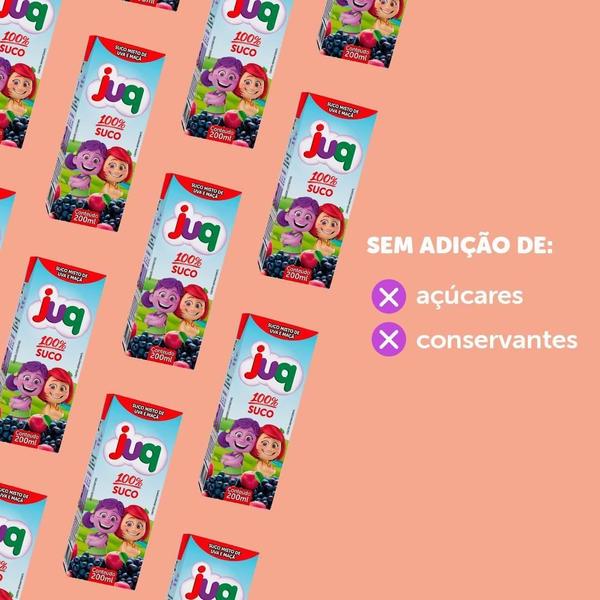 Imagem de Suco Misto De Uva E Maçã  JUQ 200ml   Caixa C/24 Unidades