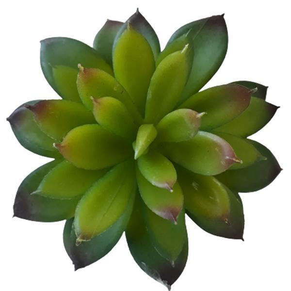 Imagem de Suculenta Agave Artificial 16 X 10Cm Verde