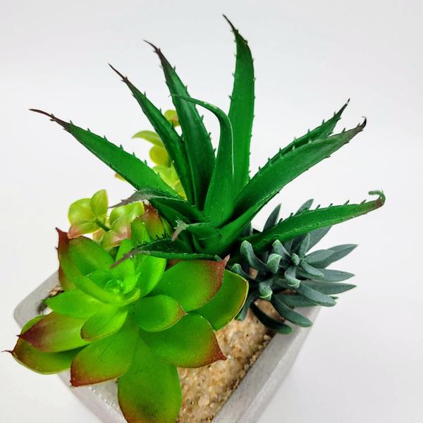 Imagem de Suculenta Com Vaso De Cerâmica 20X10Cm Planta Artificial C