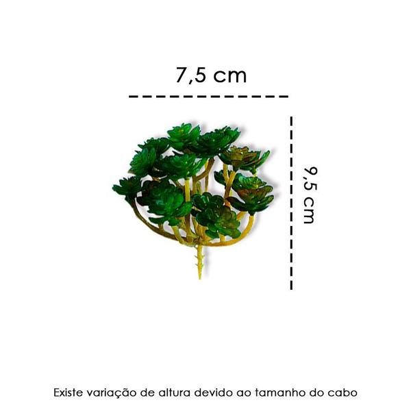 Suculentas Artificiais Plantas Enfeite Aparência Real - NS Imagem de Suculentas Artificiais Plantas Enfeite Aparência Real