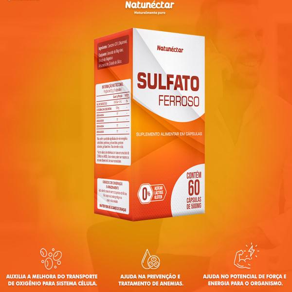 Imagem de Sulfato Ferroso Suplemento Alimentar Natural Vitamina Ferro Original Natunectar Total 60 Capsulas