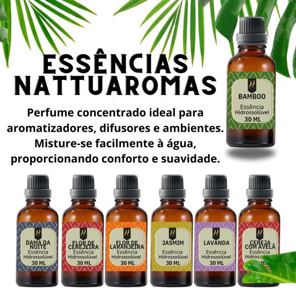 Imagem de Super Kit 5 Essências A Base Água Hidrossolúvel 30ml Difusor