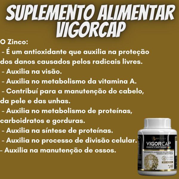 Imagem de Suplemento Alimentar de Vitaminas e Minerais Biocêutica Vigorcap Pote 60 Cápsulas Kit Promocional 24 Unidades