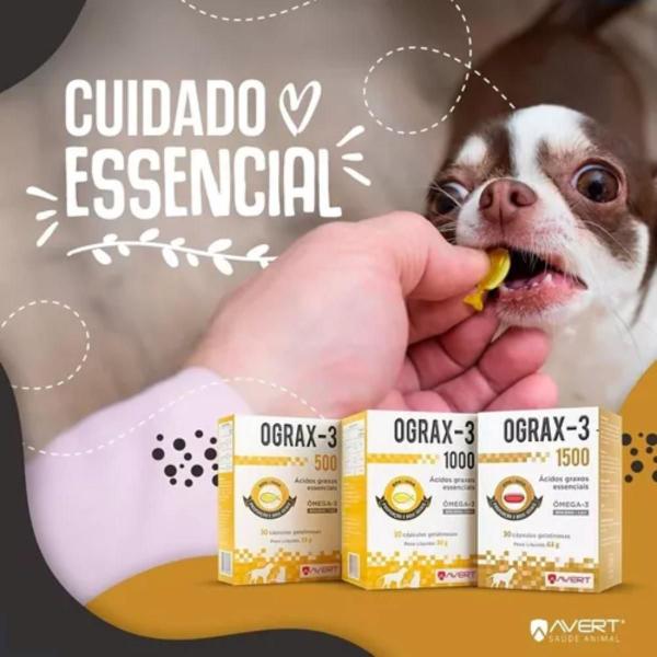 Imagem de Suplemento Avert Ograx-3 para Cães e Gatos - 500mg