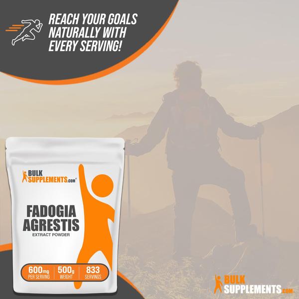 Imagem de Suplemento BulkSupplements.com Extrato de Fadogia Agrestis 500g