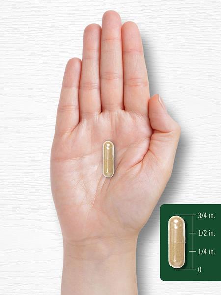 Suplemento Carlyle Fo-Ti 1000 mg 180 cápsulas He-Shou-Wu Root Imagem de Suplemento Carlyle Fo-Ti 1000 mg 180 cápsulas He-Shou-Wu Root