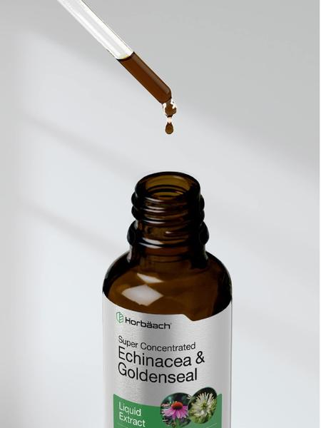 Imagem de Suplemento de extrato líquido Horbäach Echinacea Goldenseal 60mL