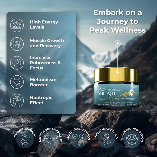Suplemento de resina Shilajit pura do Himalaia NiDiZ 800mg 50g Imagem de Suplemento de resina Shilajit pura do Himalaia NiDiZ 800mg 50g
