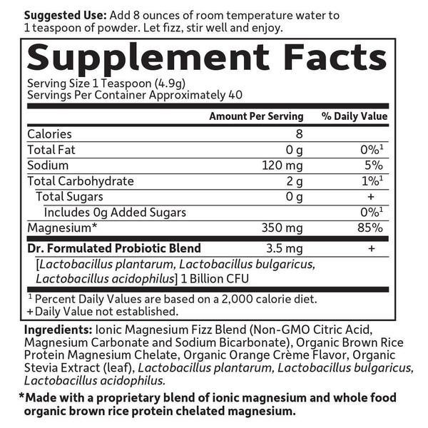 Imagem de Suplemento Garden of Life Dr. Formulado para Alimentos Integrais em Pó de Magnésio Laranja 197,4g