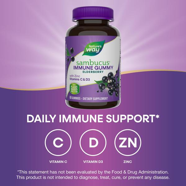 Imagem de Suplemento Nature's Way Sambucus Elderberry Immune Gummies 60