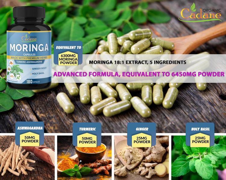 Imagem de Suplemento orgânico de extrato de cadane moringa em cápsulas 6450mg