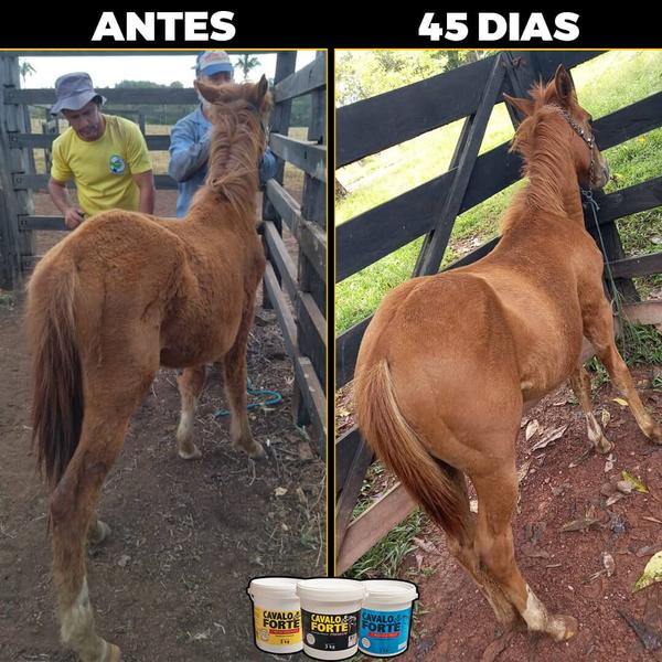 Imagem de Suplemento para Potro Cavalo Forte Crescimento 5KG