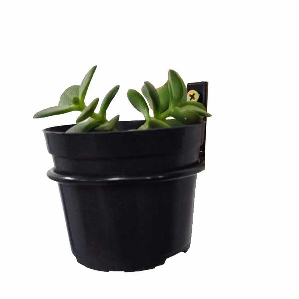 Imagem de Suporte Ferro Pendurar Vaso De Planta Parede Gancho 14cm 6pc