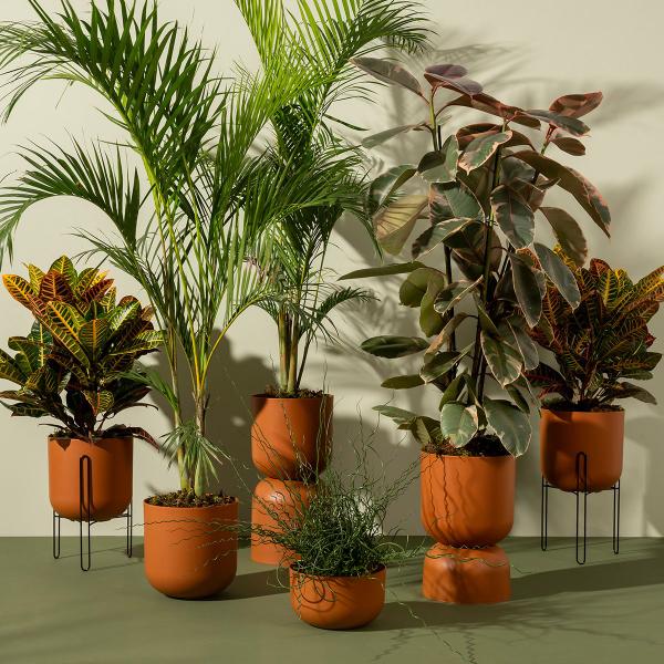 Imagem de Suporte para Vaso Cachepô 25,7cm Metal Tripé de Chão para Plantas Decorativo Raiz