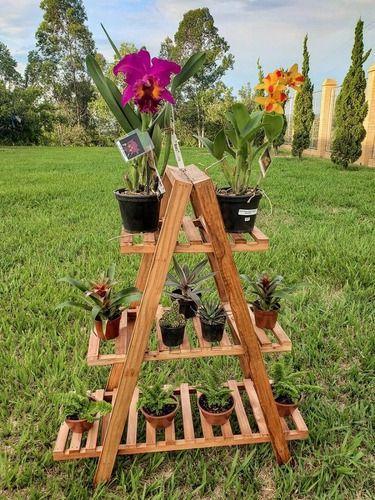 Imagem de Suporte Para Vaso Planta Madeira Maciça Suculenta Orquídeas