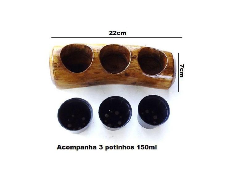 Imagem de Suporte Terrário Vasos Para Suculentas Cactos Em Madeira