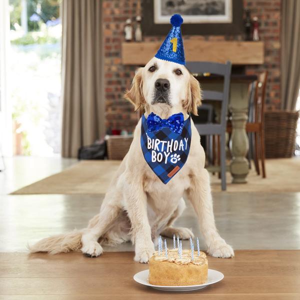 Imagem de Suprimentos para festas de aniversário para cães ADOGGYGO Birthday Boy G-Large