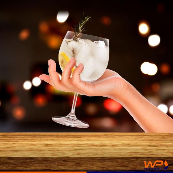 Imagem de Taça de Cristal para Degustação de Vinho Gin e Bebidas 600ml - Wp Connect