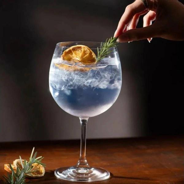 Imagem de TAÇA GIN CRISTAL 600Ml HAUS 