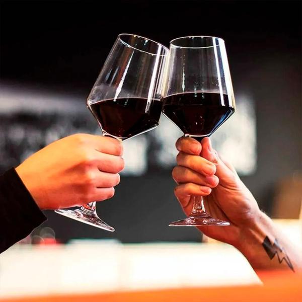 Taça para Gin Tônica Brunello 490ml - Nadir Figueiredo Imagem de Taça para Gin Tônica Brunello 490ml