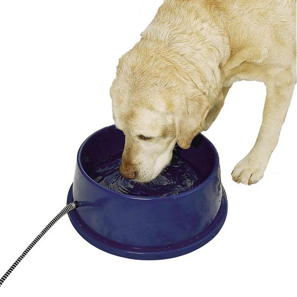 Imagem de Taça térmica aquecida para cães K&H Pet Products Térmica Azul 2,8 L