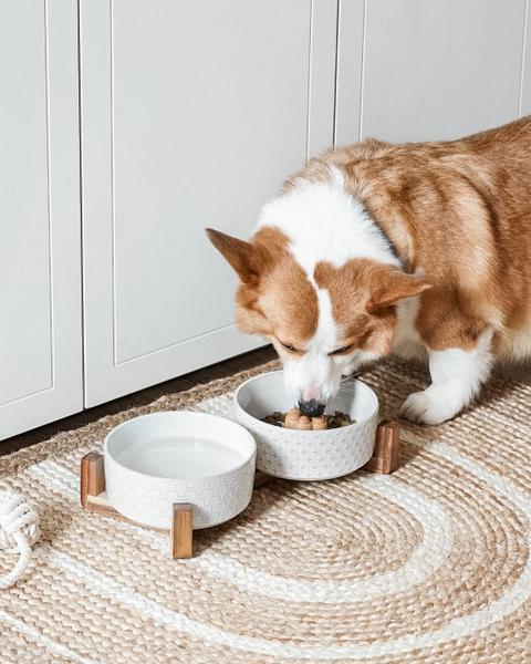 Imagem de Taças para cães LE TAUCI Ceramic com suporte de madeira de acácia, capacidade de 700 ml