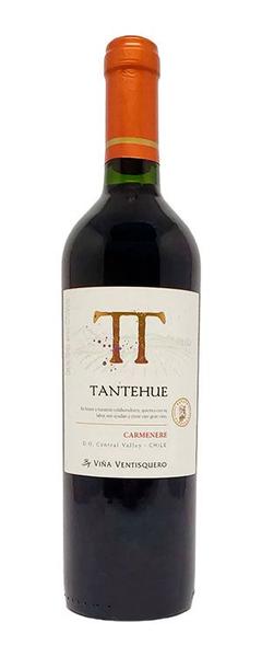 Imagem de Tantehue Carmenere