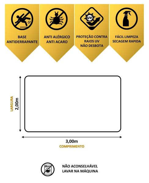 Imagem de Tapete Antiderrapante Para Sala 3m X 2m