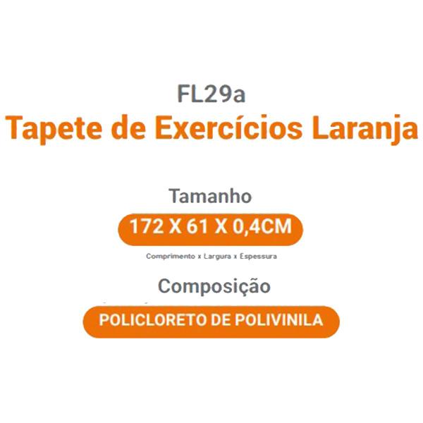 Imagem de Tapete Colchonete para Exercícios Yoga Treino Hidrolight