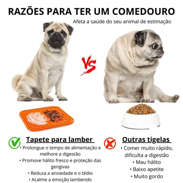 Imagem de Tapete Comedouro Lento Interativo Lamber Com Ventosa Fixação Para Cachorro e Gato LR-0289