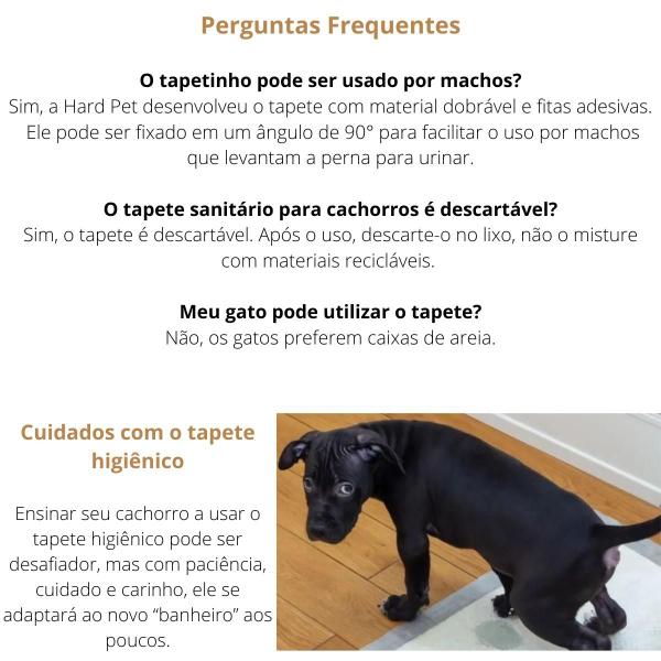 Imagem de Tapete Higiênico 60x80cm Carvão Ativado 30 Uni Para Cachorros Cães Grande Com Atrativo Canino