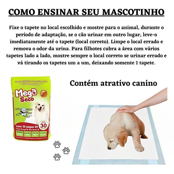 Imagem de Tapete Higiênico Para Cães Cachorro Gato 65x60 Fralda Petshop Mega Seco Pets Ultra Absorvente 30 Uni