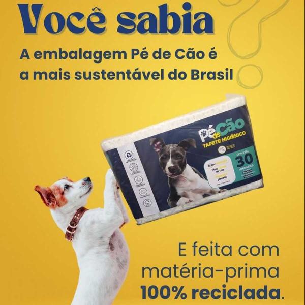 Imagem de Tapete Higiênico para cães Pé de cão 80x60 30un kit 2 pct