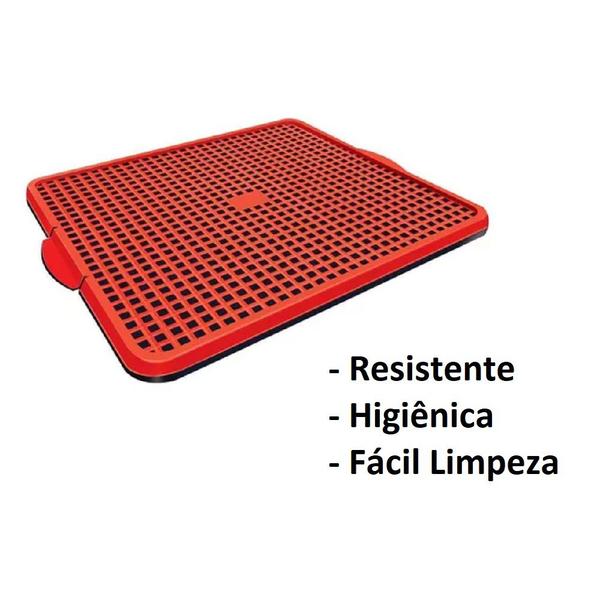 Imagem de Tapete Higienico Vermelho + Casa N2 Resistente Vermelho Pet