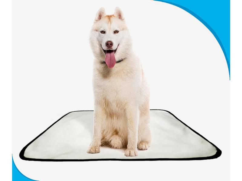 Imagem de Tapete para cães Higiênico em oferta 1 un G1 100x120cm