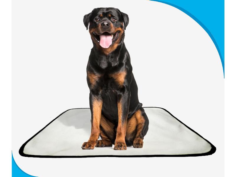 Imagem de Tapete para cães Higiênico em oferta 5 un G 90x100cm