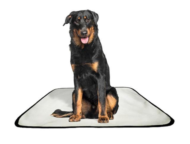 Imagem de Tapete pet reutilizável adestrador dog oferta 2 un G1 100x120cm