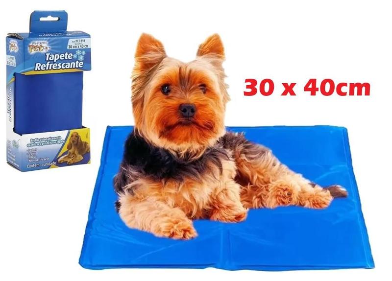 Tapete Refrescante Gelado Para Cachorro Gato Cão 30x40cm - Ringo Tapete Refrescante Gelado Para Cachorro Gato Cão 30x40cm - Ringo
