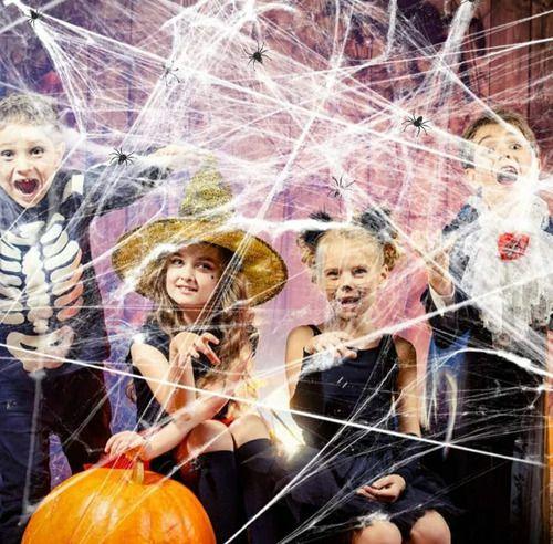 Teia De Aranha Halloween Fake Decoração Dia Das Bruxas - DM Variedades Imagem de Teia De Aranha Halloween Fake Decoração Dia Das Bruxas