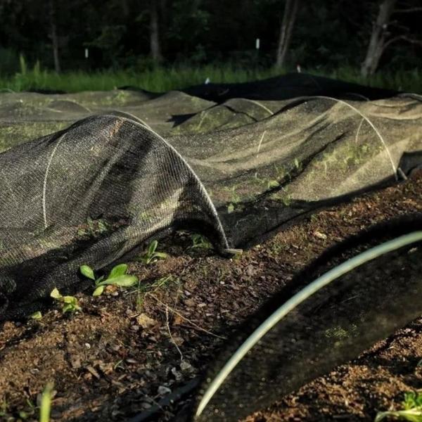 Imagem de Tela De Sombreamento 50% Paras Hortas Sombrite 50% 6x7 Mts